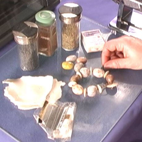 Spice Inclusion Technique Vol-3-1 Vid-57