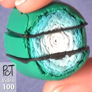 Veined Leaf Cane Part 2 Vol-10-4 Vid-100