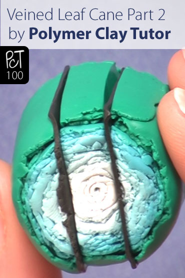 Veined Leaf Cane Part 2 Vol-10-4 Vid-100