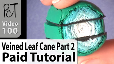 Veined Leaf Cane Part 2 Vol-10-4 Vid-100