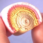 Sculpted Rose Part 2 Vol-13 Vid-111