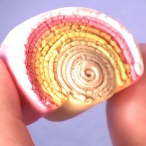 Sculpted Rose Part 2 Vol-13 Vid-111