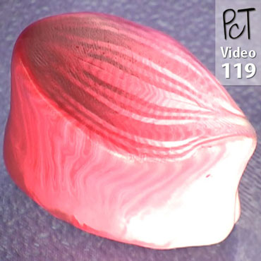 Gerbera Flower Cane Pt2 Vol-15-3 Vid-119