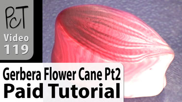 Gerbera Flower Cane Pt2 Vol-15-3 Vid-119