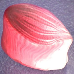 Gerbera Flower Cane Pt2 Vol-15-3 Vid-119