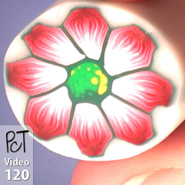 Gerbera Flower Cane Pt3 Vol-15-4 Vid-120