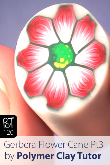 Gerbera Flower Cane Pt3 Vol-15-4 Vid-120