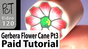 Gerbera Flower Cane Pt3 Vol-15-4 Vid-120