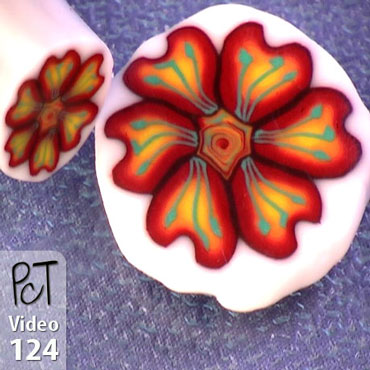 Dogwood Flower Cane Vol-16-4 Vid-124