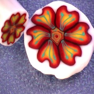 Dogwood Flower Cane Vol-16-4 Vid-124