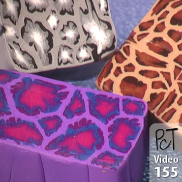 Leopard Print Cane Vol-24-2 Vid-155