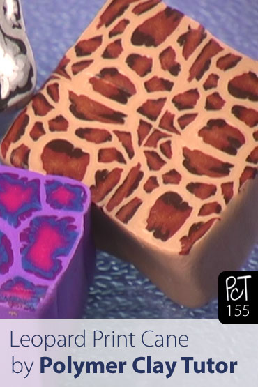 Leopard Print Cane Vol-24-2 Vid-155