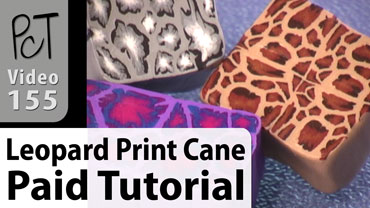 Leopard Print Cane Vol-24-2 Vid-155