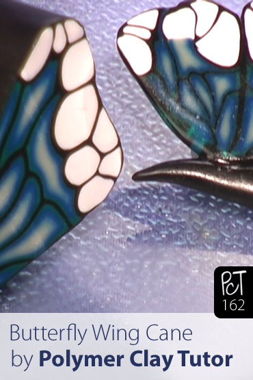 Butterfly Wing Cane Vol-26-1 Vid-162
