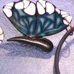 Butterfly Wing Cane Vol-26-1 Vid-162