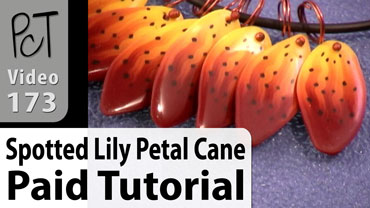 Spotted Lily Petal Cane Vol-28-4 Vid-173