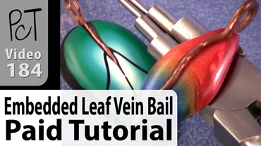 Embedded Leaf Vein Bail Vol-31-3 Vid-184