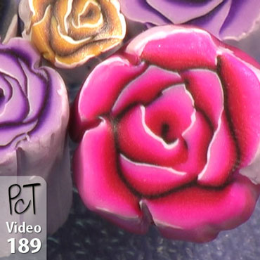 Shaded Rose Canes Vol-32-4 Vid-189