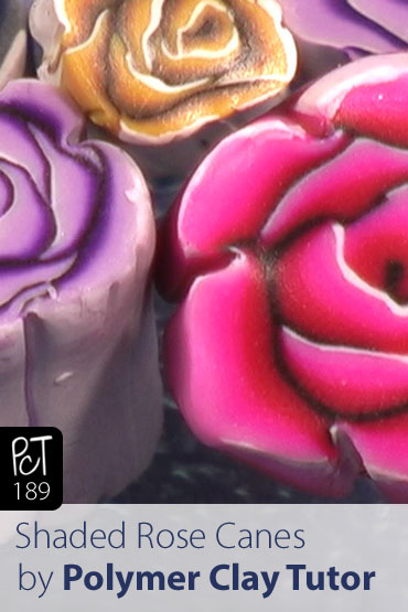 Shaded Rose Canes Vol-32-4 Vid-189