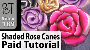 Shaded Rose Canes Vol-32-4 Vid-189