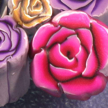 Shaded Rose Canes Vol-32-4 Vid-189