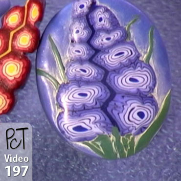 Grape Hyacinth Cane Vol-34-4 Vid-197