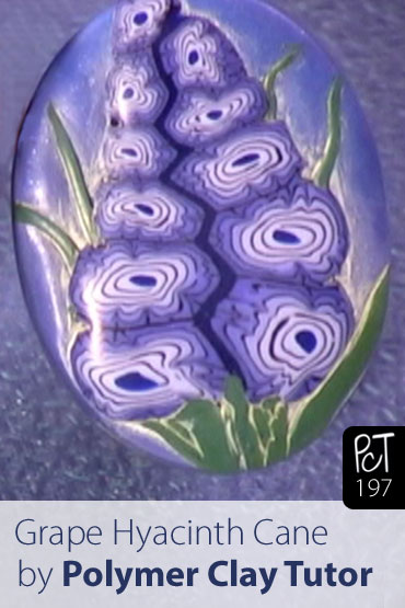 Grape Hyacinth Cane Vol-34-4 Vid-197