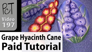 Grape Hyacinth Cane Vol-34-4 Vid-197