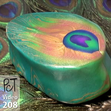 Peacock Cane Part 1 Vol-37-3 Vid-208