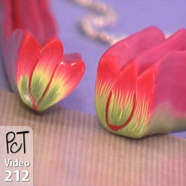 Backgrndless Tulip Cane Vol-38 Vid-212