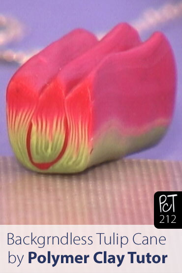 Backgrndless Tulip Cane Vol-38 Vid-212