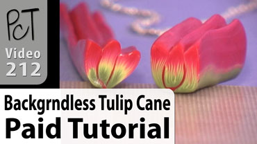 Backgrndless Tulip Cane Vol-38 Vid-212