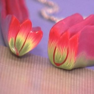 Backgrndless Tulip Cane Vol-38 Vid-212