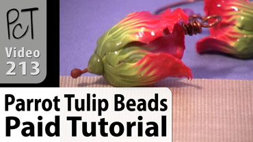 Parrot Tulip Beads Vol-38-4 Vid-213