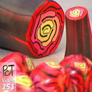 Rose Brain Canes Vol-47-2 Vid-251