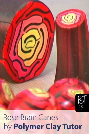 Rose Brain Canes Vol-47-2 Vid-251