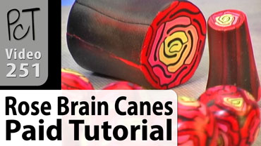Rose Brain Canes Vol-47-2 Vid-251