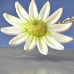 Polymer Clay Daisies Vol-48-3 Vid-256