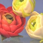 Ranunculus Flower Beads Vol-50-2 Vid-264