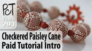 Checkered Paisley Cane Vol-53 Vid-293