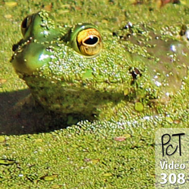 RV Craft Storage Ideas A Ribetting Video Vid-308