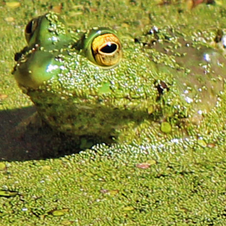 RV Craft Storage Ideas A Ribetting Video Vid-308