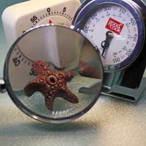 Sun Powered Polymer Clay Baking Vid-361