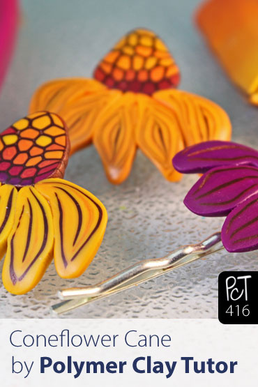 Cone Flower Cane Vol-63 Vid-416