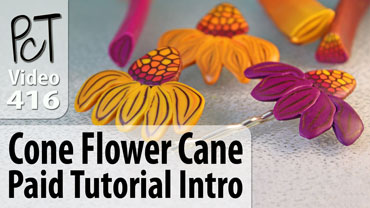 Cone Flower Cane Vol-63 Vid-416