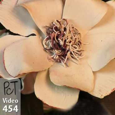 Karonkay's Inaugural Ball Flower Bouquet Vid-454