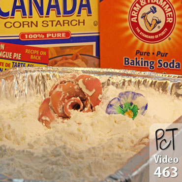 Baking Polymer On A Bed of Cornstarch Vid-463