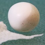 How To Clean Raw Polymer Clay Vid-511