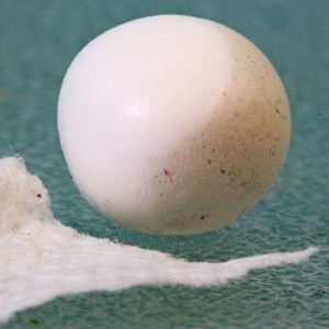 How To Clean Raw Polymer Clay Vid-511