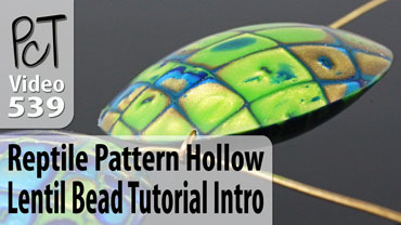 Reptile Pattern Hollow Vol-74 Vid-539